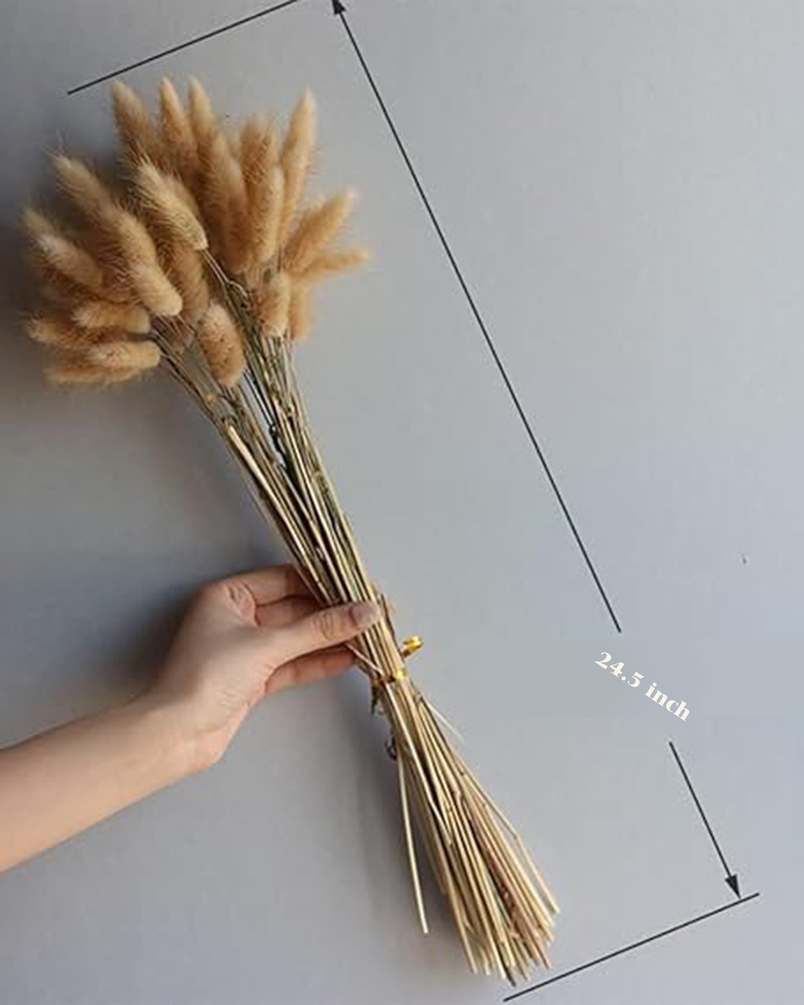 Bunny Tails Dried Flowers, Dried Pampas Grass Bouquet, Boho Table Decor, White Pampas Grass Small, Dried Bunny Tails, Pampas Grass for Wedding, Home, Rustic Party, Baby Shower Decorations, Burnt Coffee 30 pcs and 60 Pcs