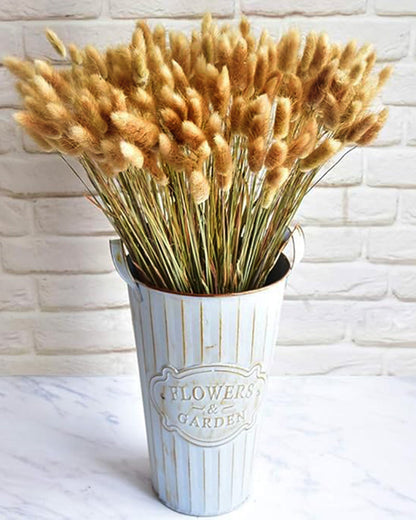 Bunny Tails Dried Flowers, Dried Pampas Grass Bouquet, Boho Table Decor, White Pampas Grass Small, Dried Bunny Tails, Pampas Grass for Wedding, Home, Rustic Party, Baby Shower Decorations, Burnt Coffee 30 pcs and 60 Pcs