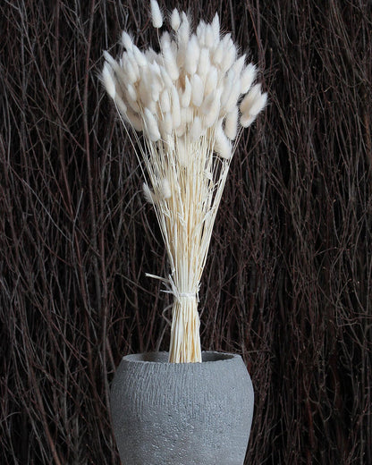 Bunny Tails Dried Flowers, Dried Pampas Grass Bouquet, Boho Table Decor, White Pampas Grass Small, Dried Bunny Tails, Pampas Grass for Wedding, Home, Rustic Party, Baby Shower Decorations, Burnt Coffee 30 pcs and 60 Pcs