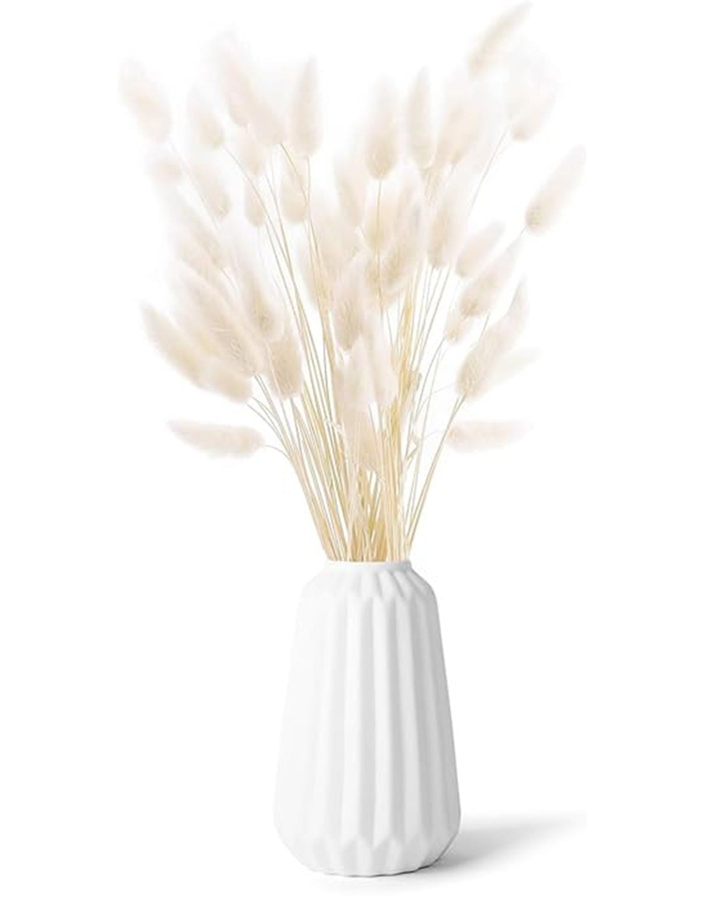 Bunny Tails Dried Flowers, Dried Pampas Grass Bouquet, Boho Table Decor, White Pampas Grass Small, Dried Bunny Tails, Pampas Grass for Wedding, Home, Rustic Party, Baby Shower Decorations, Burnt Coffee 30 pcs and 60 Pcs