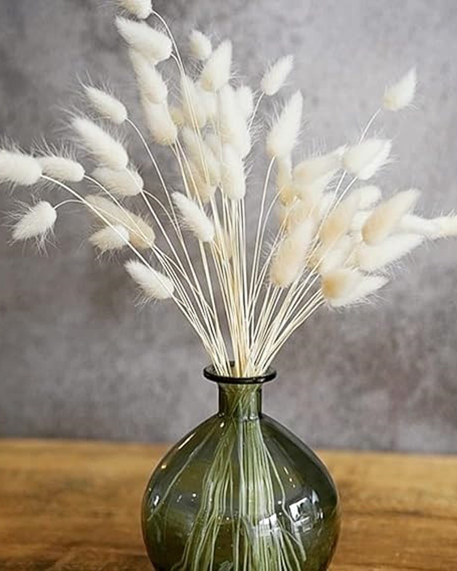 Bunny Tails Dried Flowers, Dried Pampas Grass Bouquet, Boho Table Decor, White Pampas Grass Small, Dried Bunny Tails, Pampas Grass for Wedding, Home, Rustic Party, Baby Shower Decorations, Burnt Coffee 30 pcs and 60 Pcs