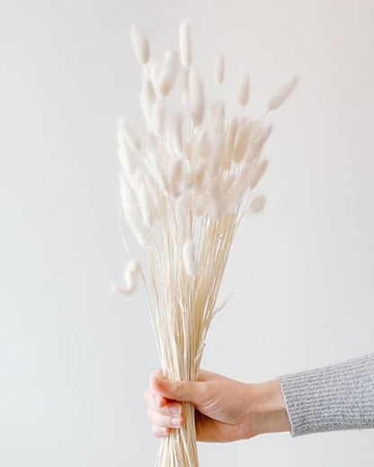 Bunny Tails Dried Flowers, Dried Pampas Grass Bouquet, Boho Table Decor, White Pampas Grass Small, Dried Bunny Tails, Pampas Grass for Wedding, Home, Rustic Party, Baby Shower Decorations, Burnt Coffee 30 pcs and 60 Pcs