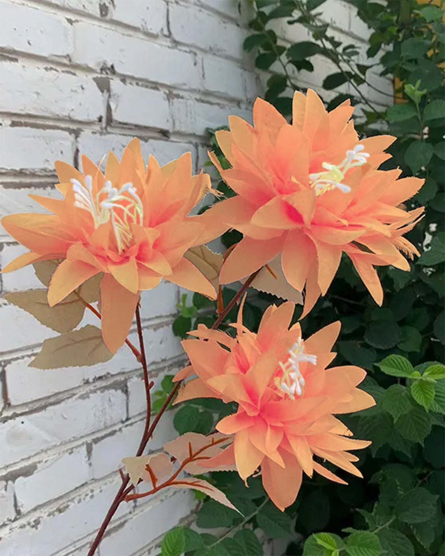 Artifical Dahlia Stick 3 Heads, 2 Sticks Fake Real Touch Flower for Living Room, Home, Office,Bedroom,Pooja, Diwali,DIY-Craft, Banquet Wedding Decoration, Snow Lotus, Brown