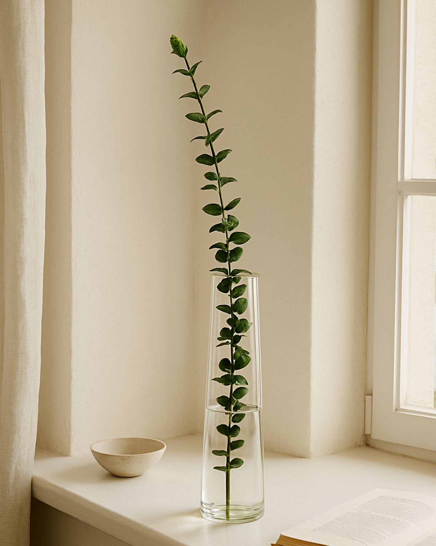 Glass Vase for Plants Flowers (Transparent, 29 cm X 8 cm) - Living Room Glass Vase Pot for Water Plants Home Décor Dining Table Decoration Bedroom Hall Aesthetic House Warming Gift, Stem Vase