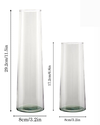 Glass Vase for Plants Flowers (Transparent, 29 cm X 8 cm) - Living Room Glass Vase Pot for Water Plants Home Décor Dining Table Decoration Bedroom Hall Aesthetic House Warming Gift, Stem Vase