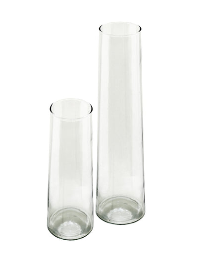 Glass Vase for Plants Flowers (Transparent, 29 cm X 8 cm) - Living Room Glass Vase Pot for Water Plants Home Décor Dining Table Decoration Bedroom Hall Aesthetic House Warming Gift, Stem Vase