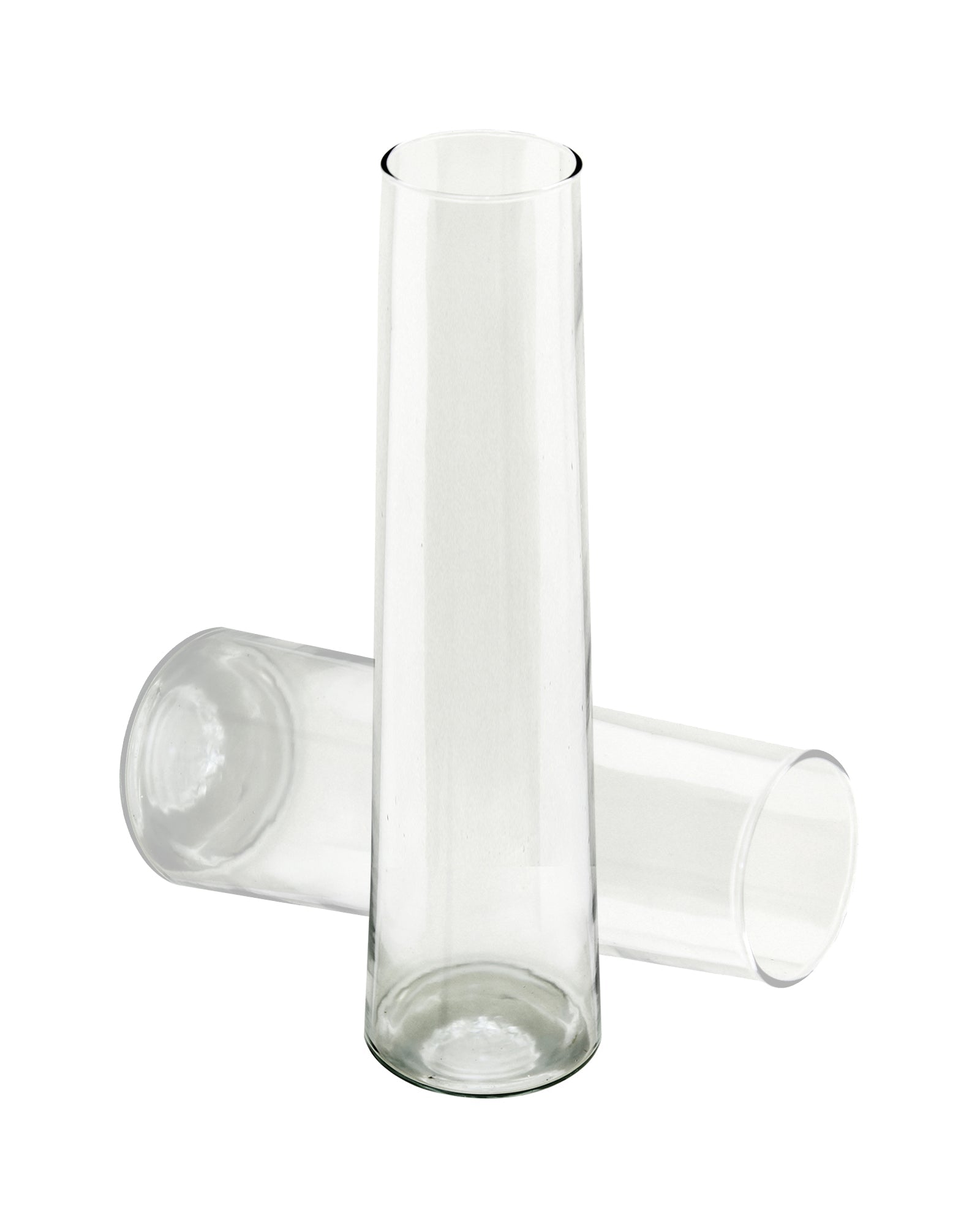 Glass Vase for Plants Flowers (Transparent, 29 cm X 8 cm) - Living Room Glass Vase Pot for Water Plants Home Décor Dining Table Decoration Bedroom Hall Aesthetic House Warming Gift, Stem Vase