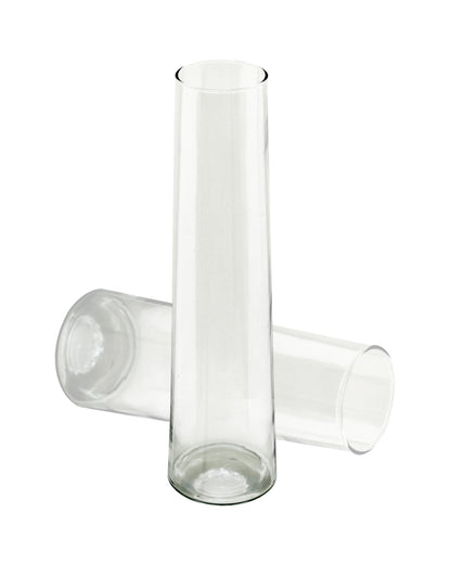 Glass Vase for Plants Flowers (Transparent, 29 cm X 8 cm) - Living Room Glass Vase Pot for Water Plants Home Décor Dining Table Decoration Bedroom Hall Aesthetic House Warming Gift, Stem Vase