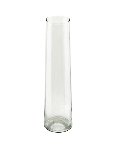 Glass Vase for Plants Flowers (Transparent, 29 cm X 8 cm) - Living Room Glass Vase Pot for Water Plants Home Décor Dining Table Decoration Bedroom Hall Aesthetic House Warming Gift, Stem Vase